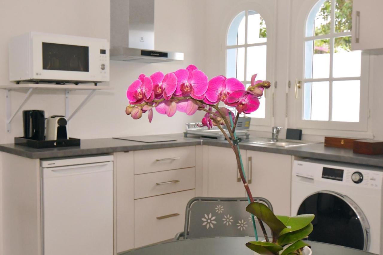 Bed and Breakfast Le Jacaranda Du Guillaume Le Guillaume Экстерьер фото