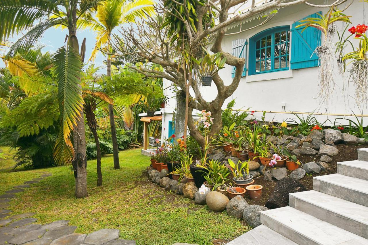 Bed and Breakfast Le Jacaranda Du Guillaume Le Guillaume Экстерьер фото